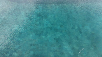 sukabumi_uruguay_obras_moorea_11